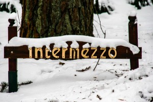 2013-01_sneeuw_in_norg_2 (1)