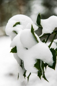 2013-01_sneeuw_in_norg_4